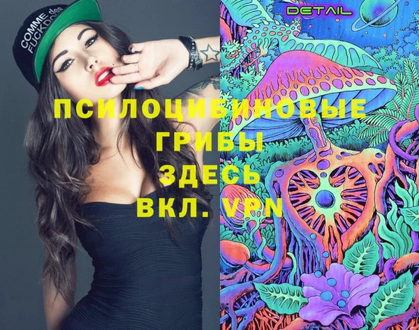 трава Елабуга