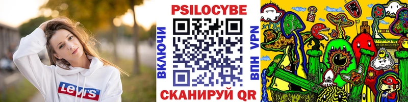 закладка  Химки  Галлюциногенные грибы Cubensis 